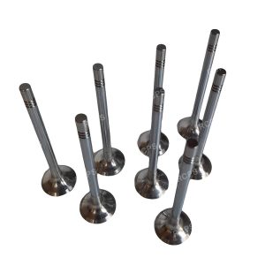 VALVULAS ESC KIT (25,5 MM)